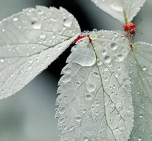 The unseen future behind every interface