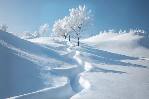 Beneath the soil, seeds whisper about another day