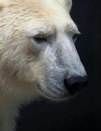 When the mountains breathe at first dawn